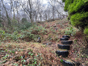 Photo 9- click for photo gallery